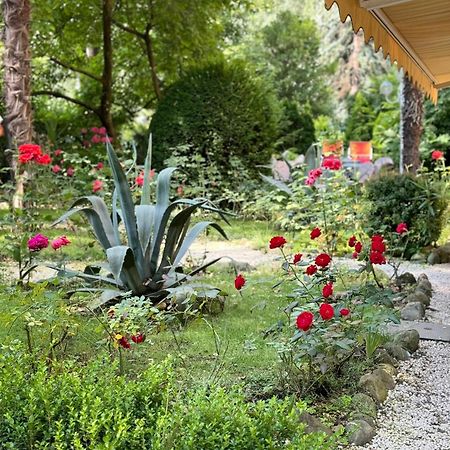 Hotel Villa Westend 메라노 외부 사진